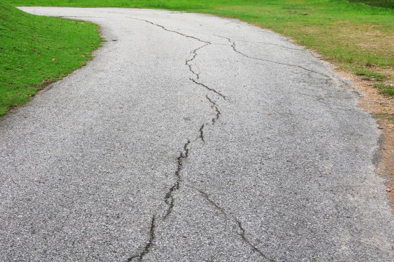 Asphalt Driveway Repair detail